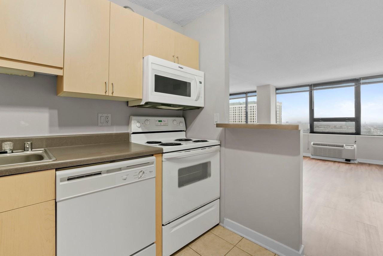 1011 S Michigan Ave #1707 - Photo 6 of 18