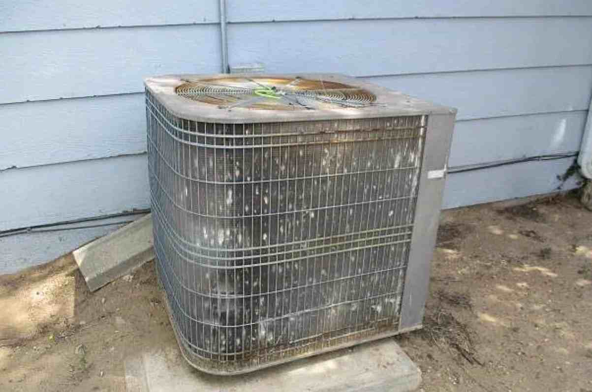 348 Hilltop St - Photo 2 of 16