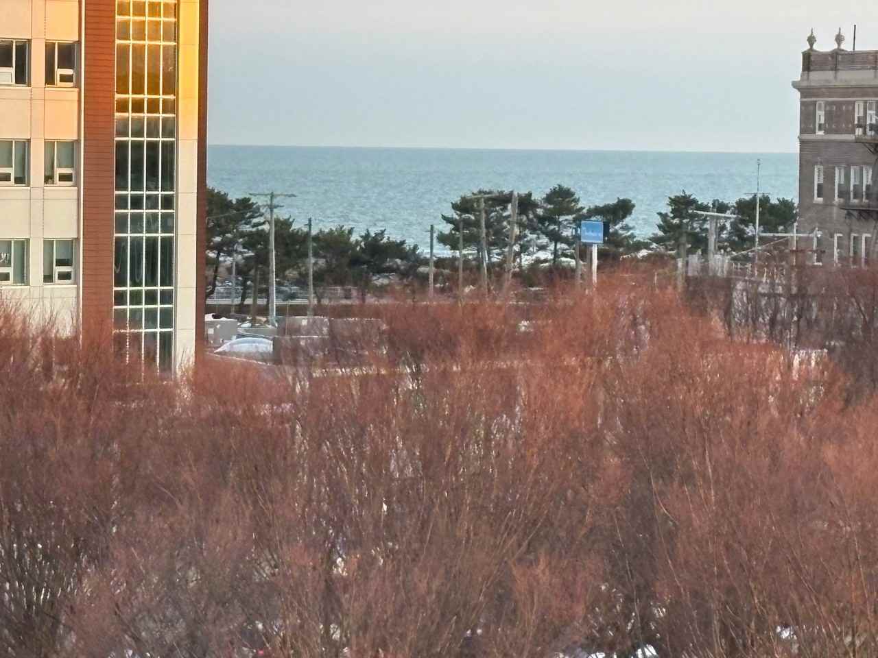 3501 Ventnor Ave #E1 - Photo 3 of 17