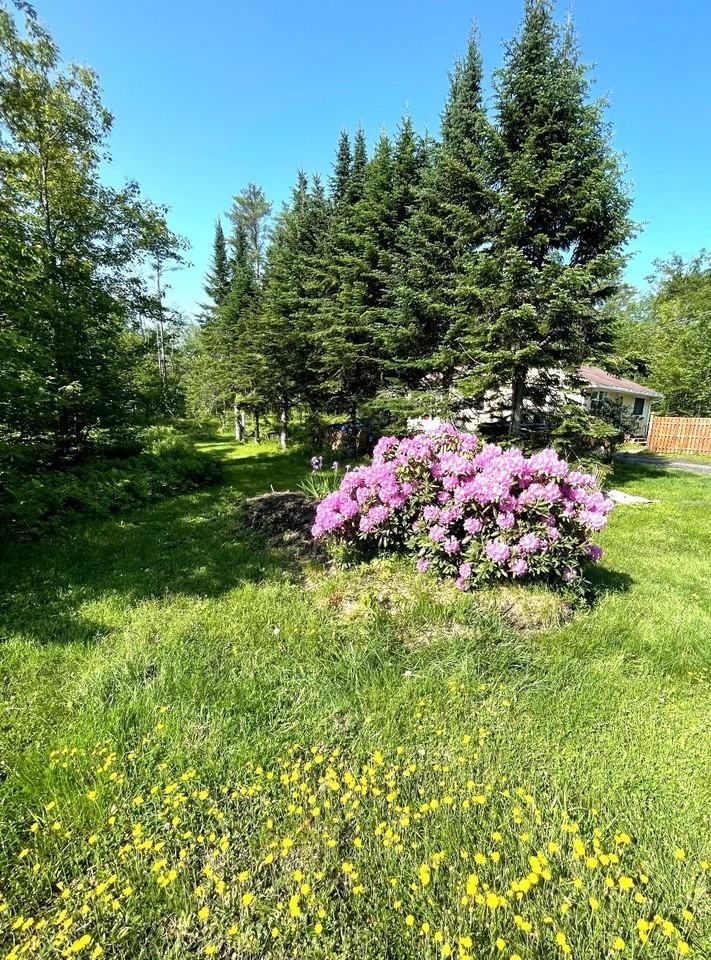 146 Cathance Rd - Photo 6 of 9