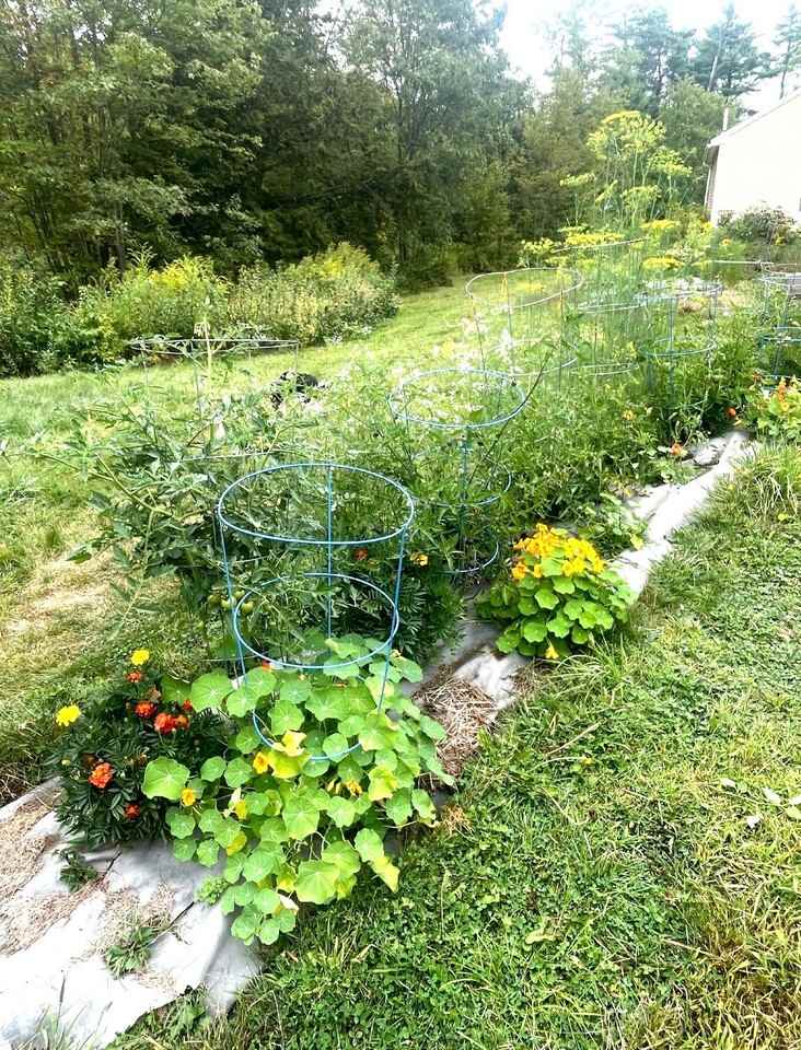 146 Cathance Rd - Photo 7 of 9