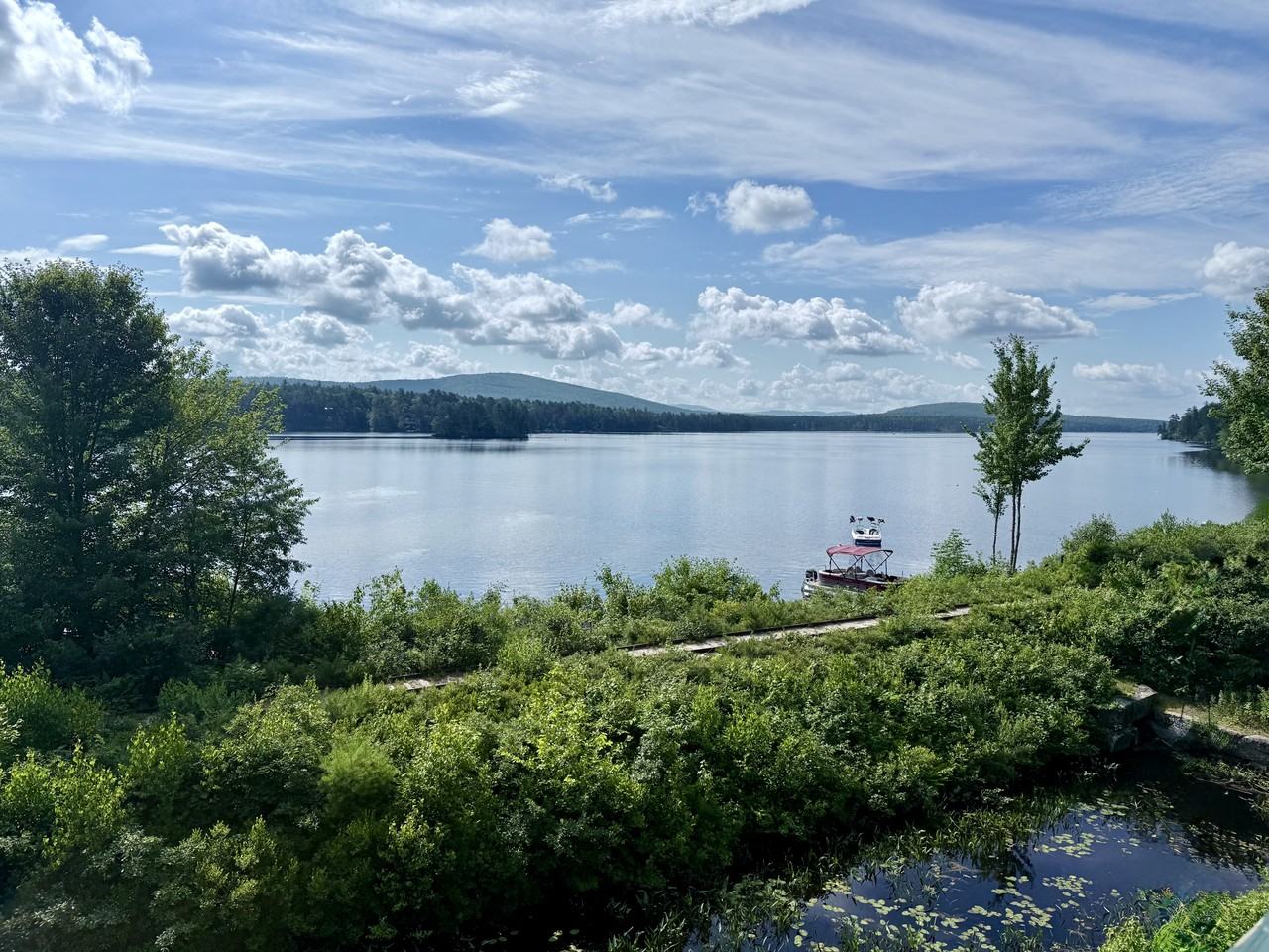 175 Plains Rd #1 - Photo 3 of 21