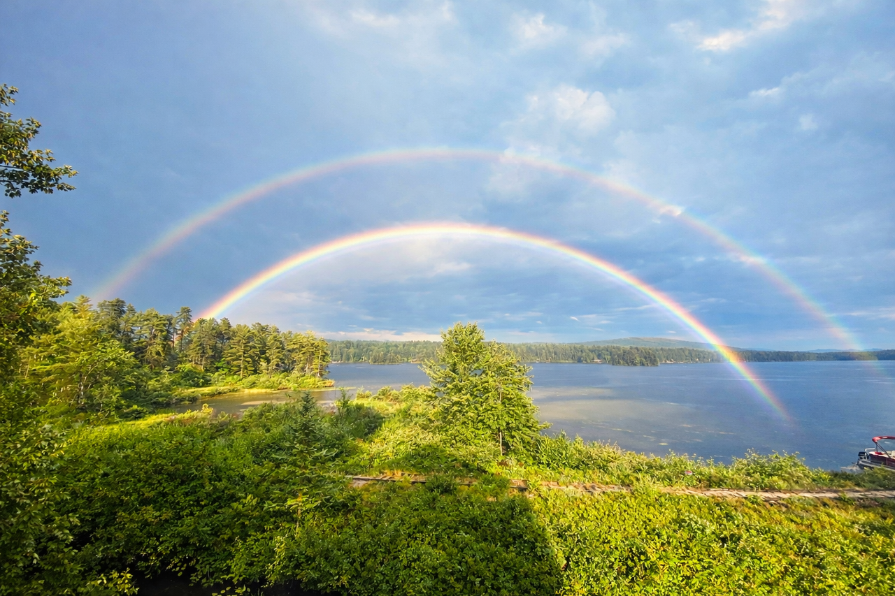 175 Plains Rd #1 - Photo 4 of 21