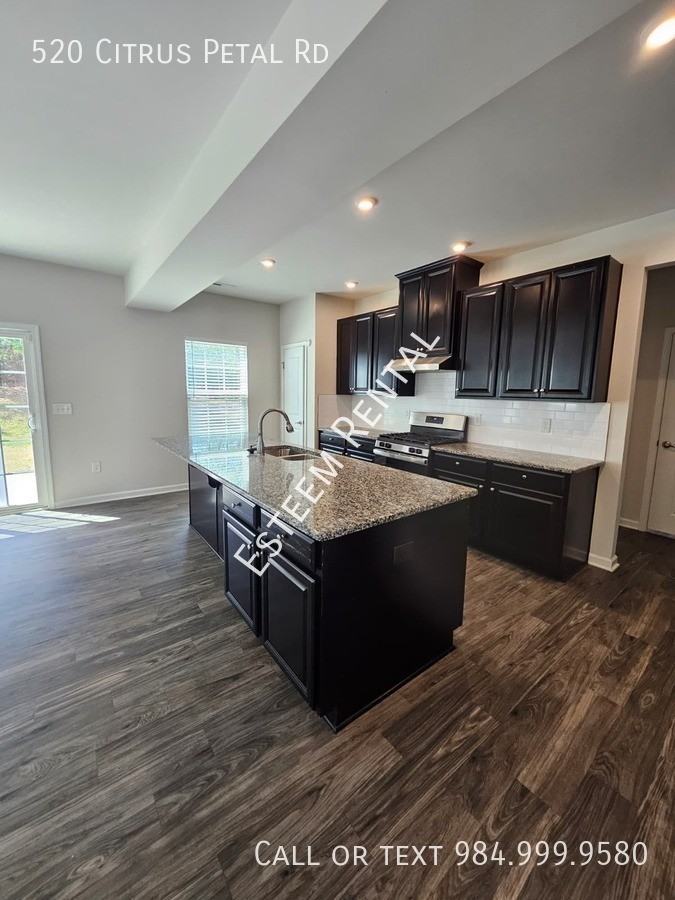 520 Citrus Petal Rd - Photo 4 of 26