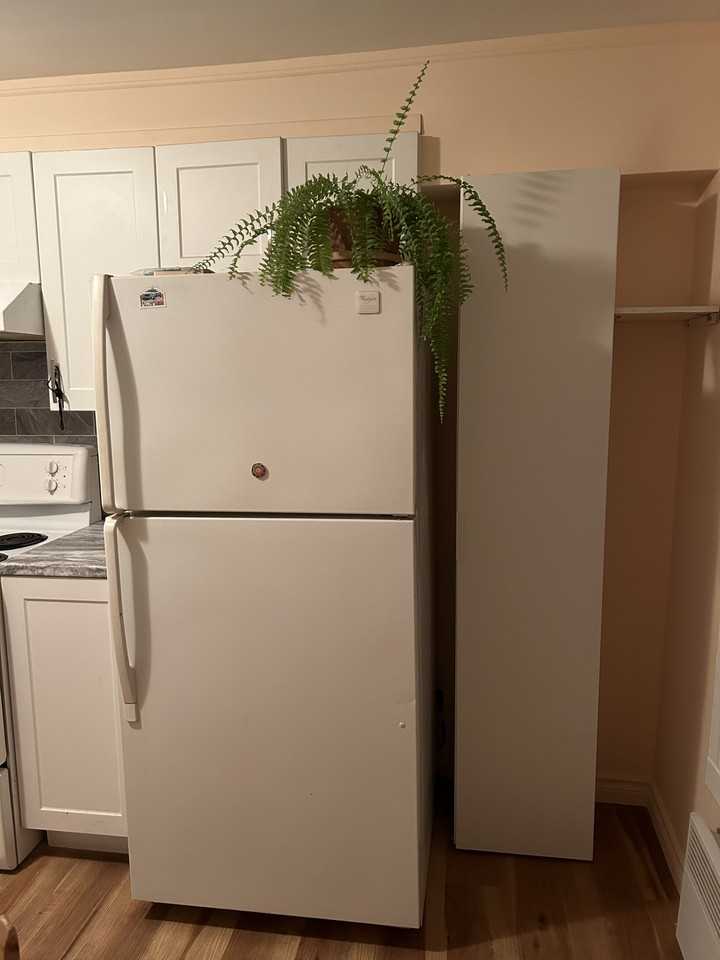 Rue Ontario Est & Rue Florian #2122 - Photo 6 of 15