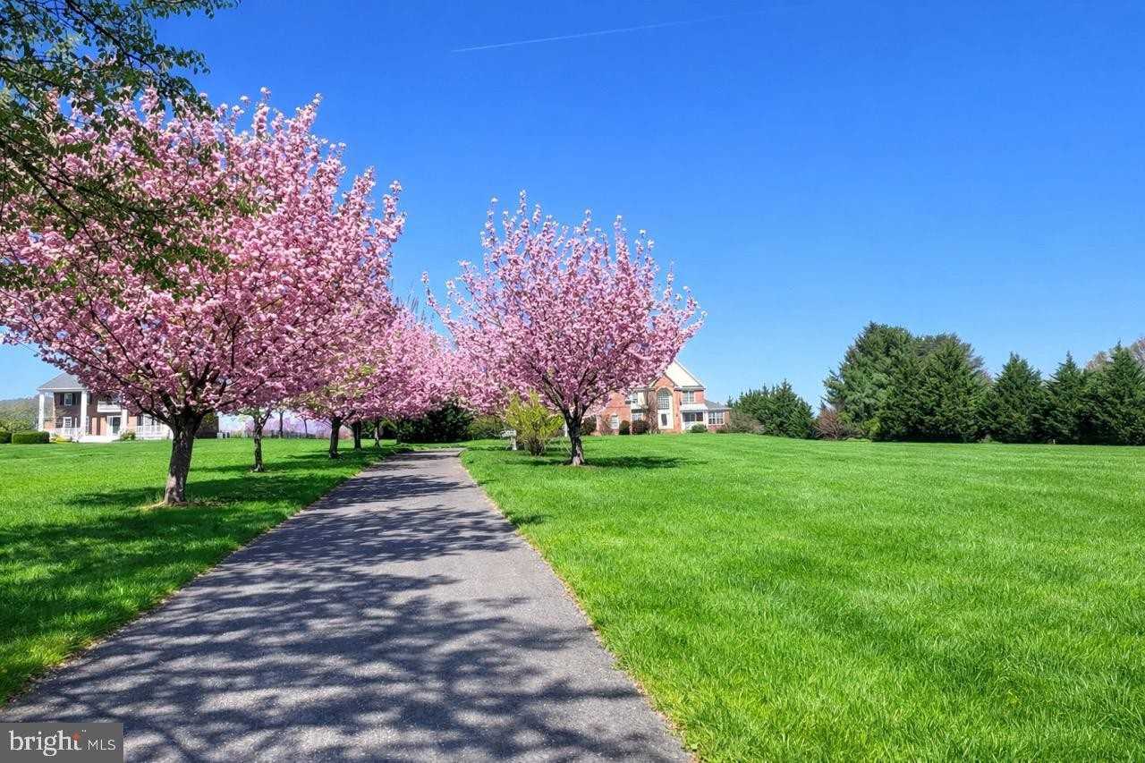 13031 12 Hills Rd - Photo 5 of 5