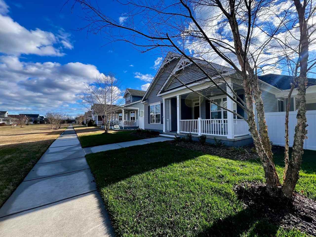 2228 Martlet Ln - Photo 2 of 42