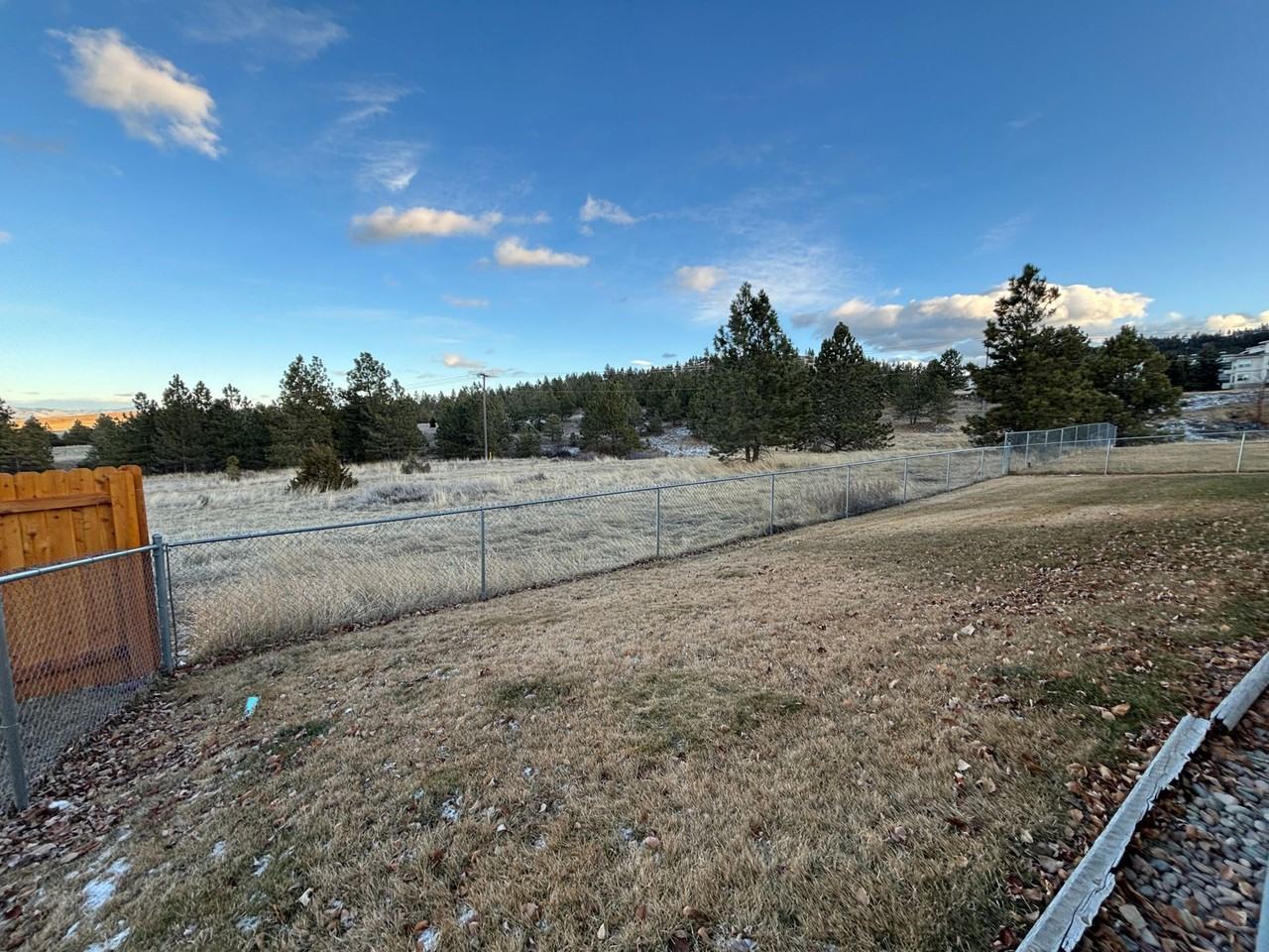 Updated 2 bedroom apartment Near St Peters - Photo 6 of 11