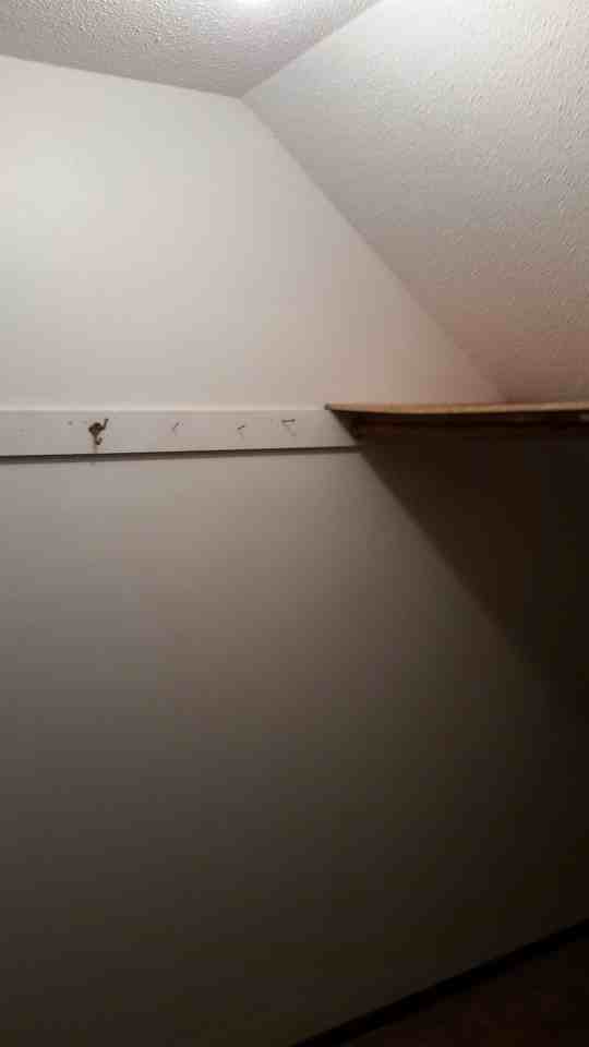 Fandre Dr 2823-2825 - Photo 6 of 36