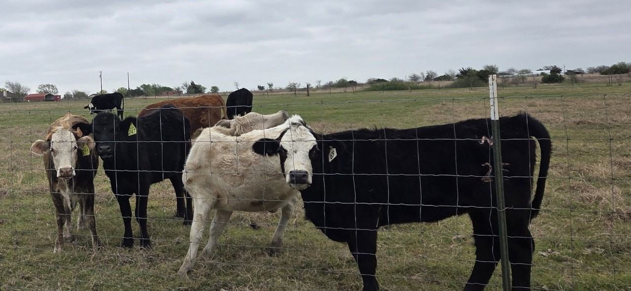 2453 Bottoms East Rd - Photo 2 of 44