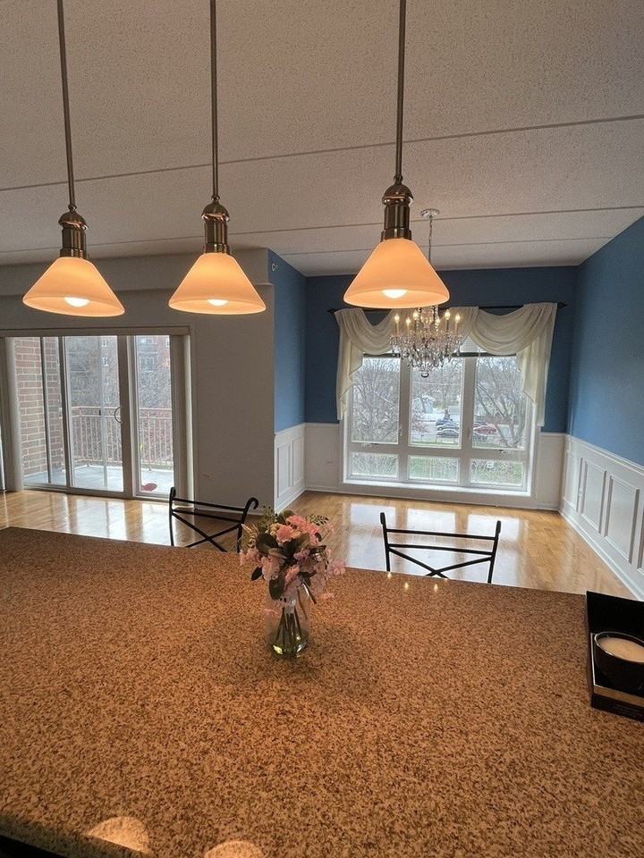 799 Graceland Ave #402A - Photo 7 of 18