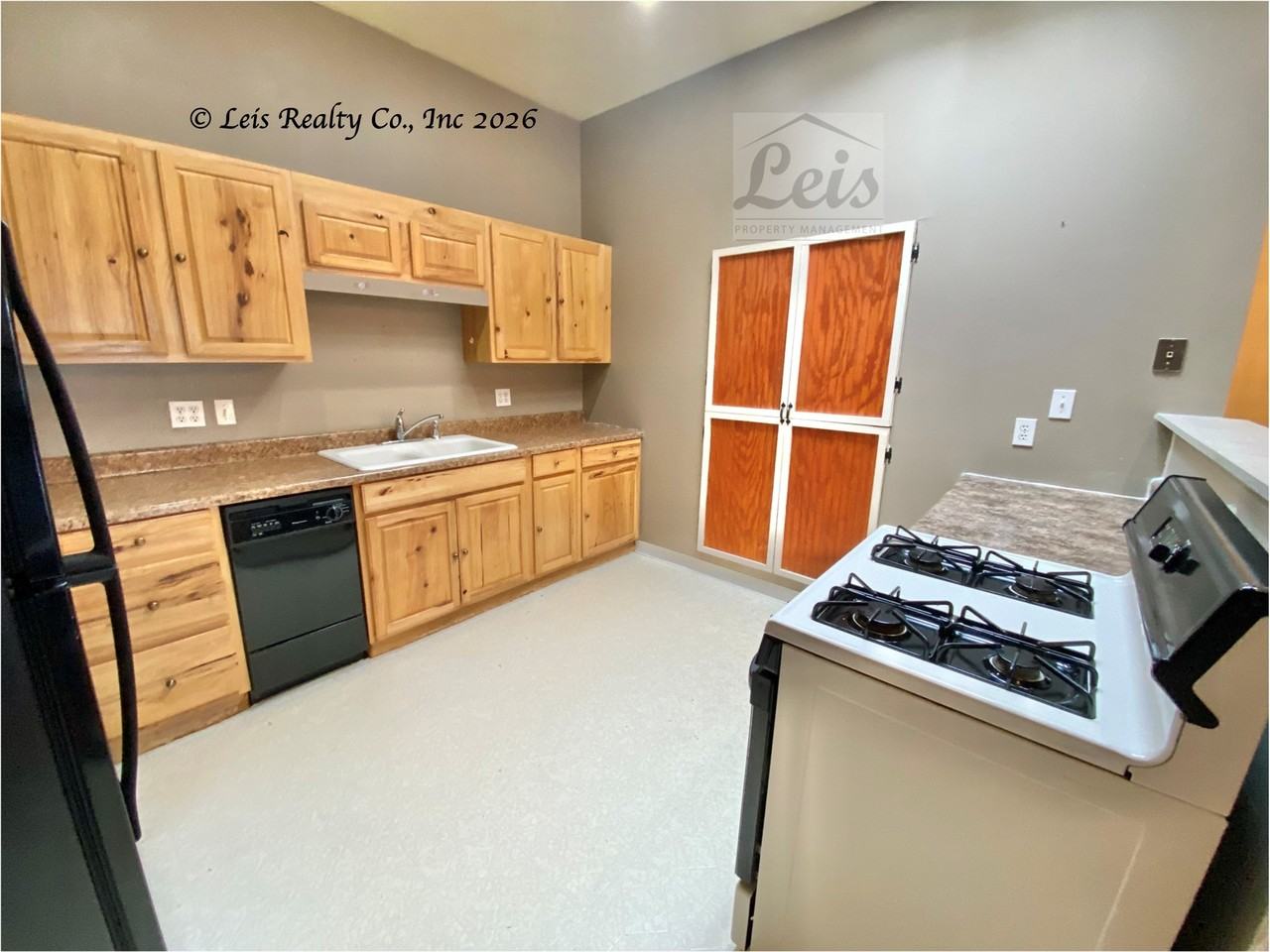 423 West 4th Street Apt 5 (New) - Photo 3 of 19