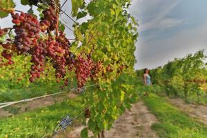 featured image of 45 Maple St