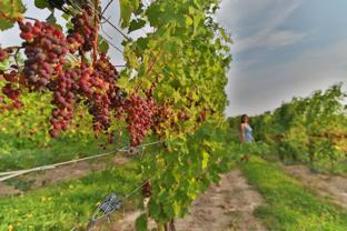 45 Maple St - Photo 1 of 1