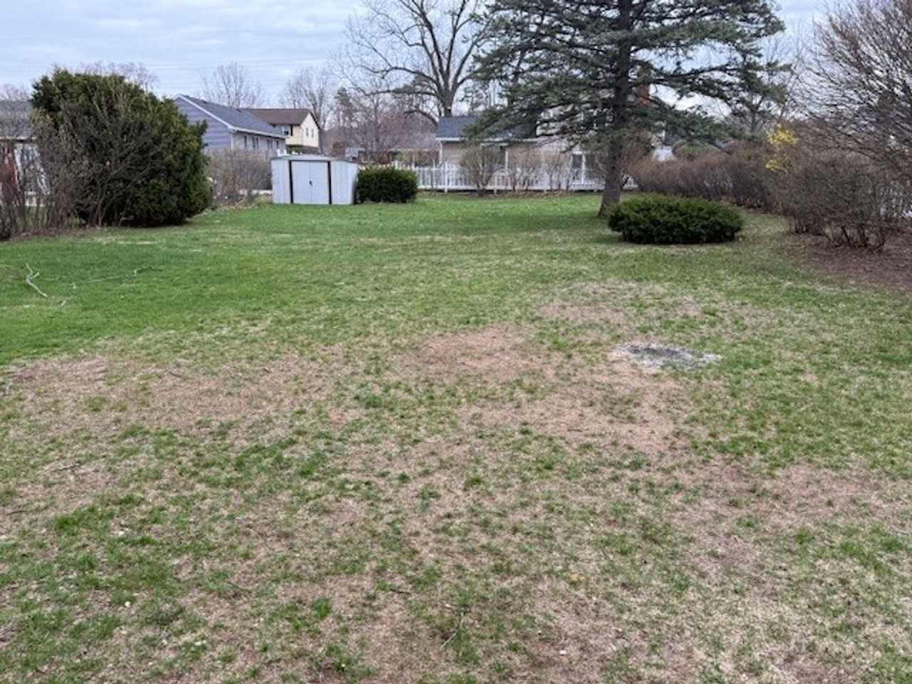 41 Oakwood Dr - Photo 5 of 25