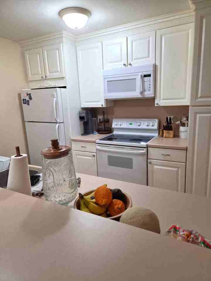 4 Smithfield Rd - Photo 3 of 16