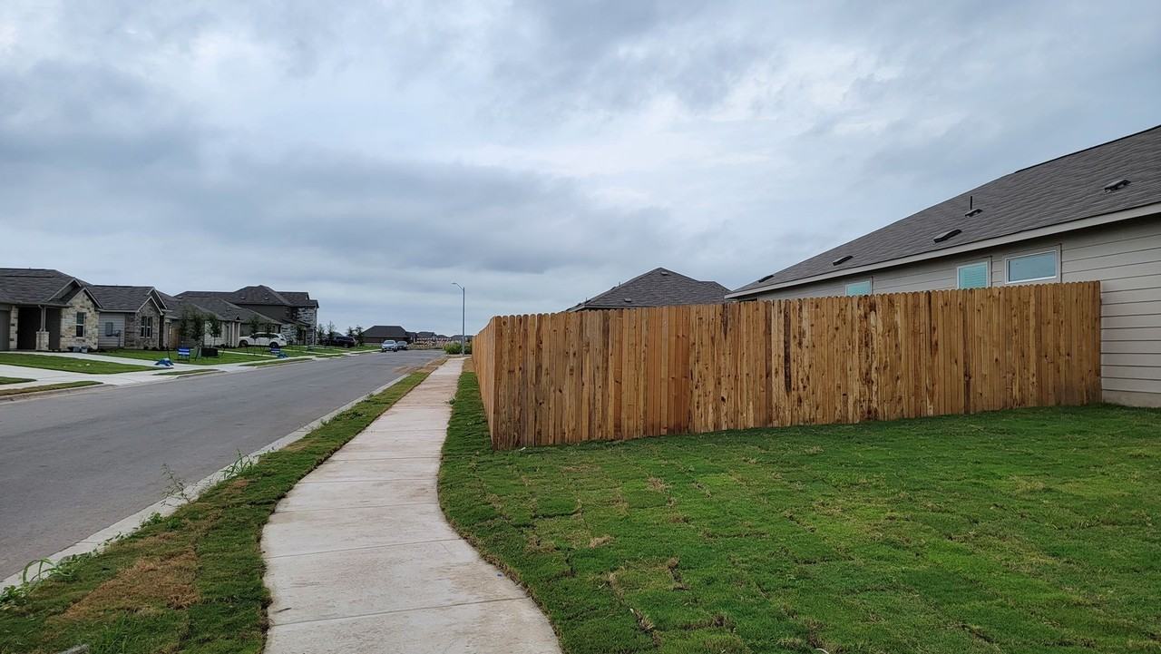 101 Red Buckeye St - Photo 6 of 27