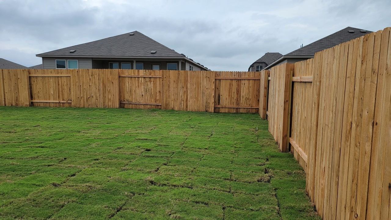 101 Red Buckeye St - Photo 7 of 27