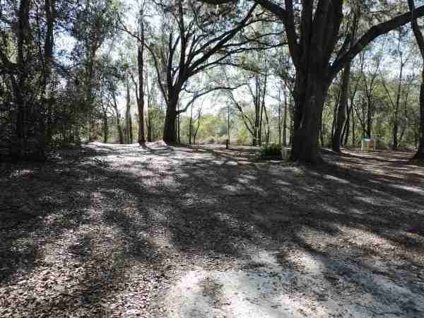 7390 Bills Way - Photo 5 of 17