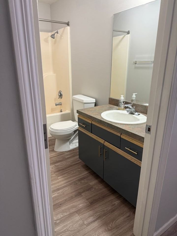 Harney Street Apartments in the Old Market - Photo 5 of 30
