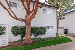 1525 Placentia Ave - Photo 1 of 1