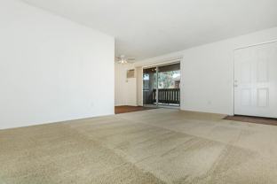825 Tamarack Ave - Photo 1 of 1