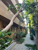 Your Cozy Apartment in Montana Awaits! - Photo 1 of 1