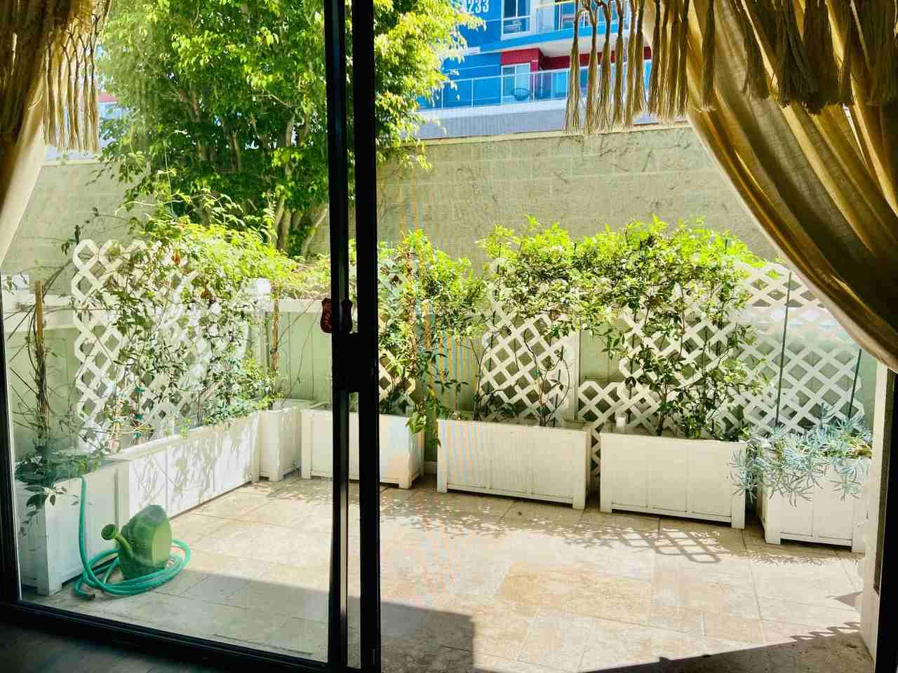 3616 Via Dolce - Photo 3 of 24