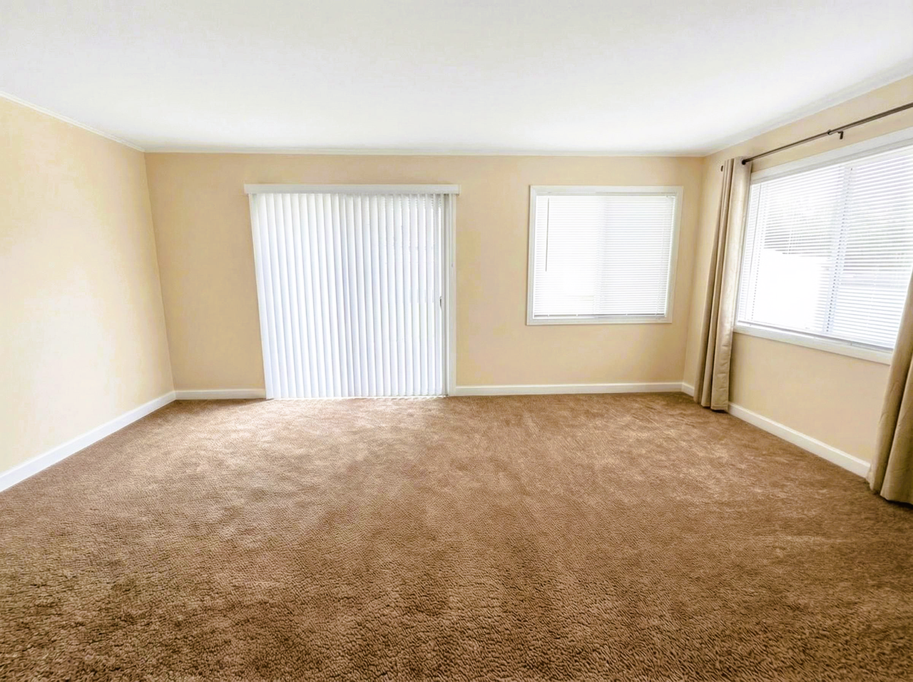 1037 Mockingbird Ln - Photo 6 of 14