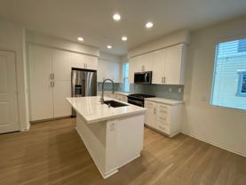 1118 Via Lucero - Photo 1 of 1