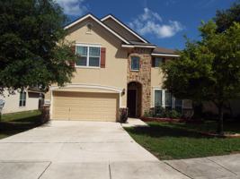 featured image of 25839 Big Bluestem #1