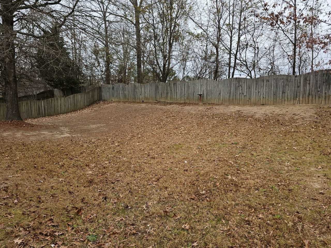 7124 Boulder Pass - Photo 6 of 47