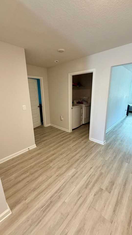 250 Boggy Creek Way - Photo 4 of 15