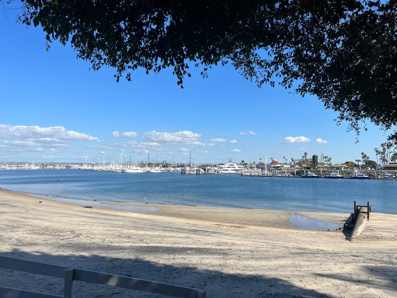 2969 Lawrence St - Photo 2 of 16