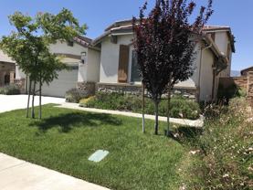 15342 Parsley Leaf Pl - Photo 1 of 1