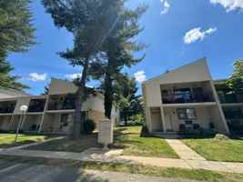 featured image of 355 Forest Ave