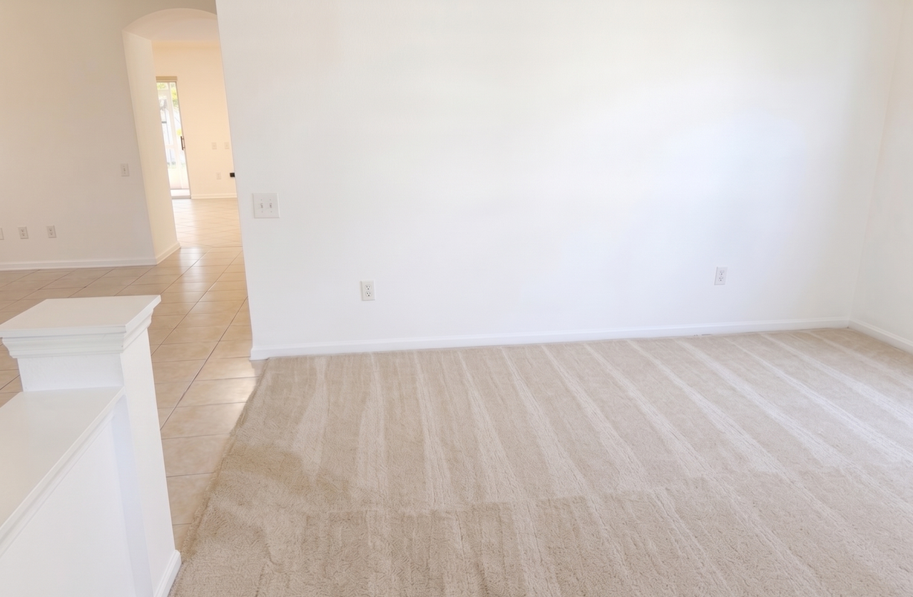 3204 Herons Point Cir - Photo 5 of 18