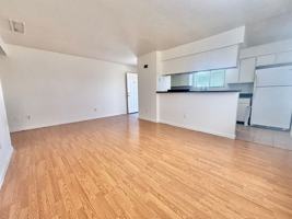 featured image of 117 117 & 113 General Arnold St Ne