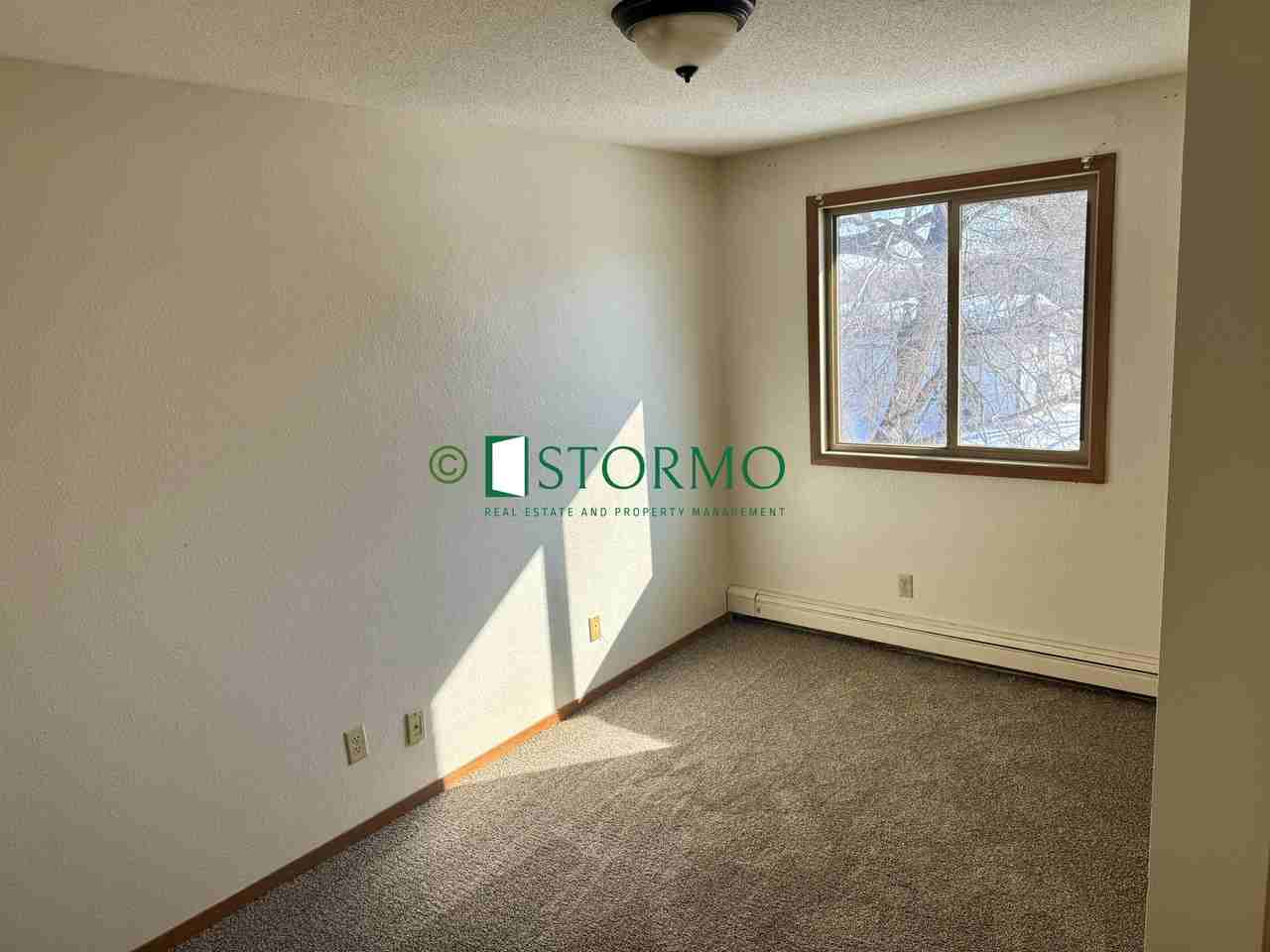 1311 6th Avenue South - Photo 5 of 6