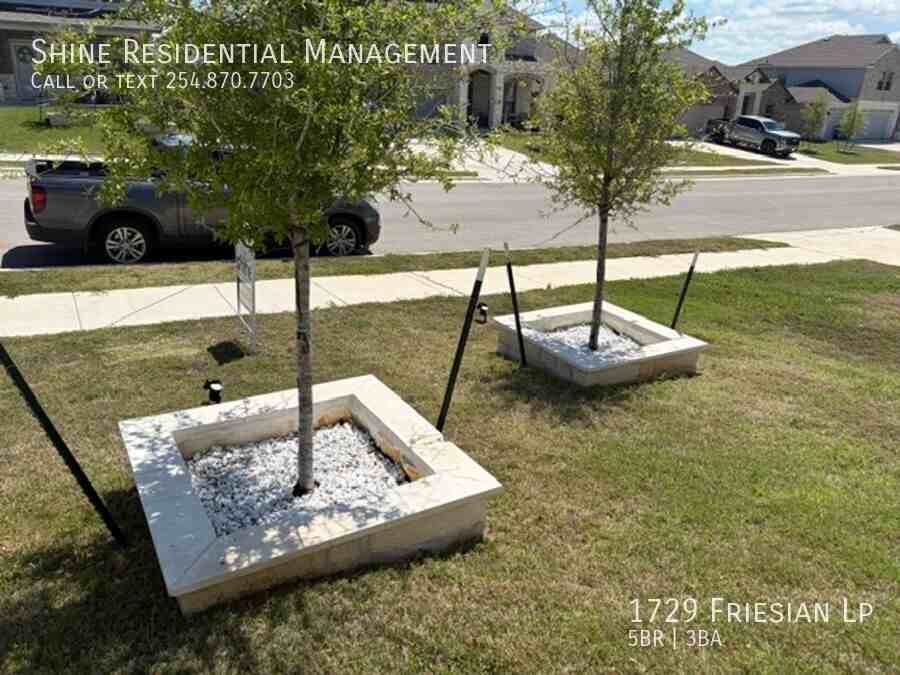 1729 Friesian Loop - Photo 5 of 50