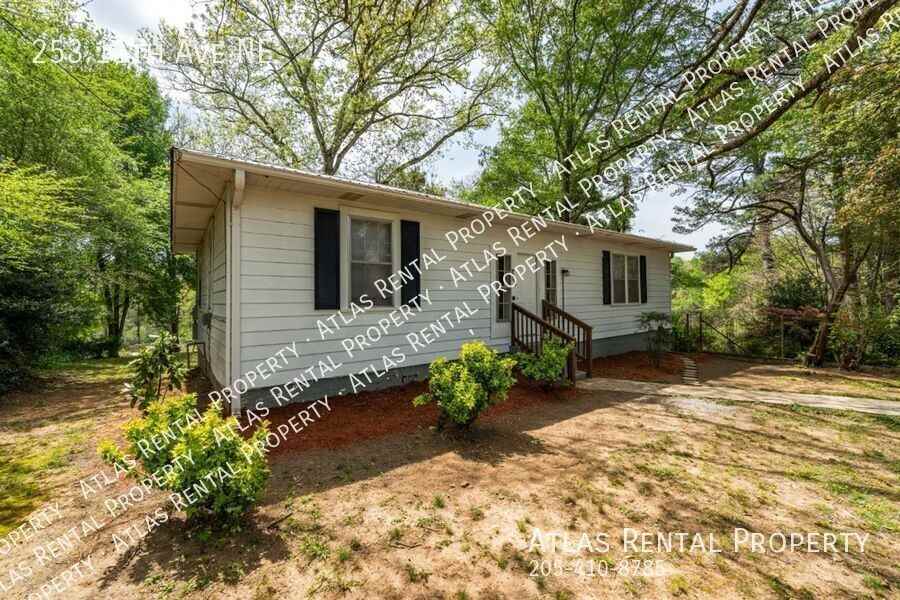 253 11th Ave Ne - Photo 2 of 21