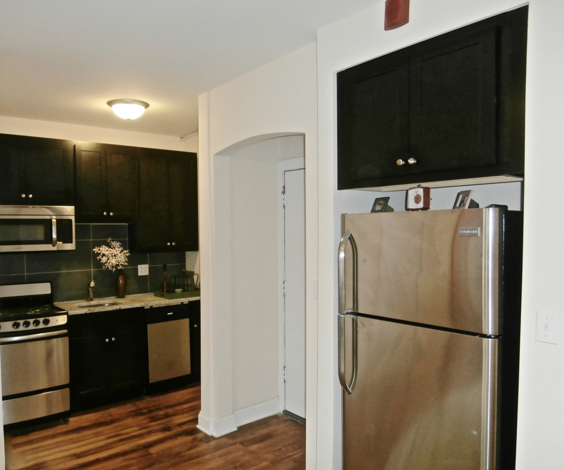 339 W Howard St #303 - Photo 5 of 10