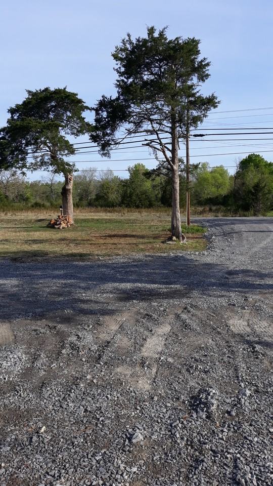 6506 Woodbury Pike - Photo 3 of 13