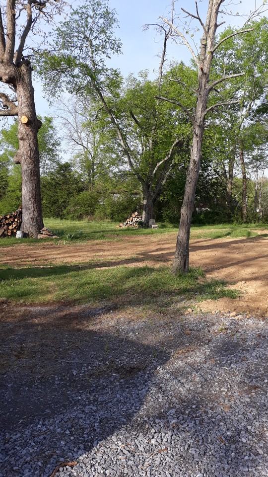 6506 Woodbury Pike - Photo 4 of 13