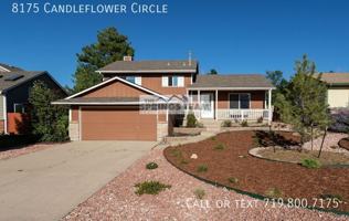 featured image of 8175 Candleflower Cir