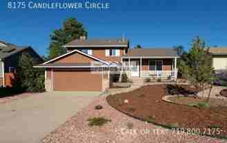 8175 Candleflower Cir - Photo 1 of 1