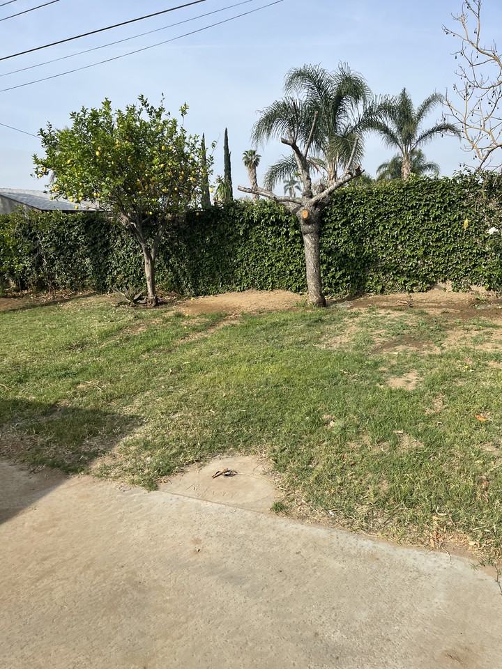 965 Latham St #NA - Photo 2 of 10