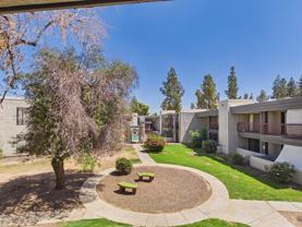 3420 W Danbury Dr #C203 - Photo 1 of 1