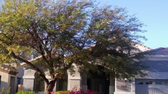 24744 W Illini St - Photo 1 of 1