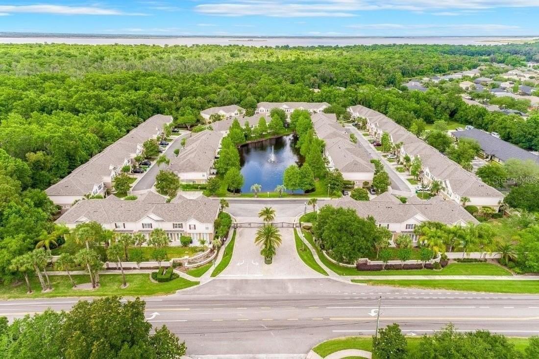 602 Pinebranch Cir - Photo 2 of 19